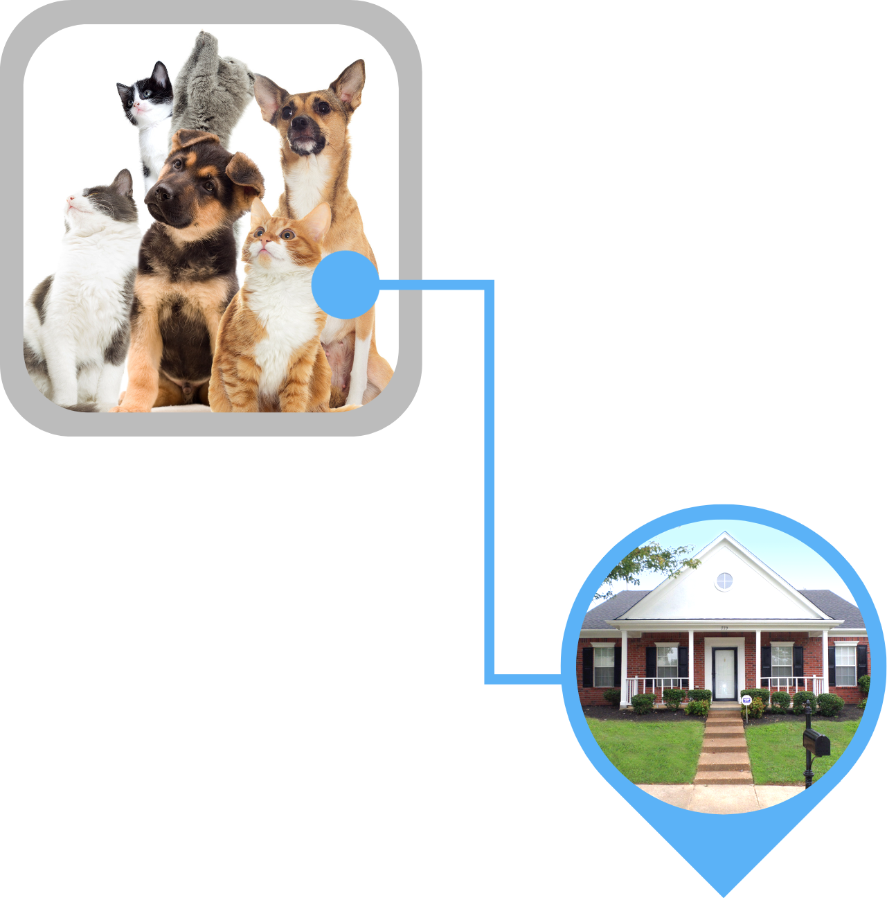 an image of a house connected to an image of a group of cats and dogs